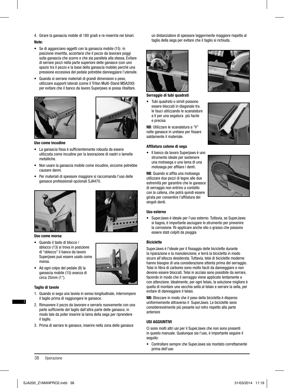 Triton SJA 200 User Manual | Page 39 / 66