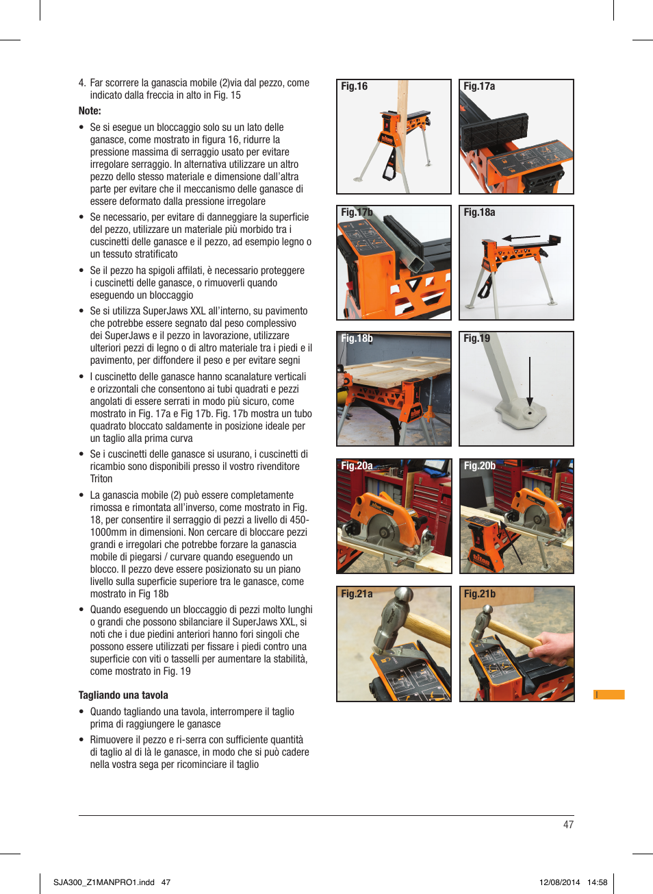 Triton SJA 300 User Manual | Page 48 / 62