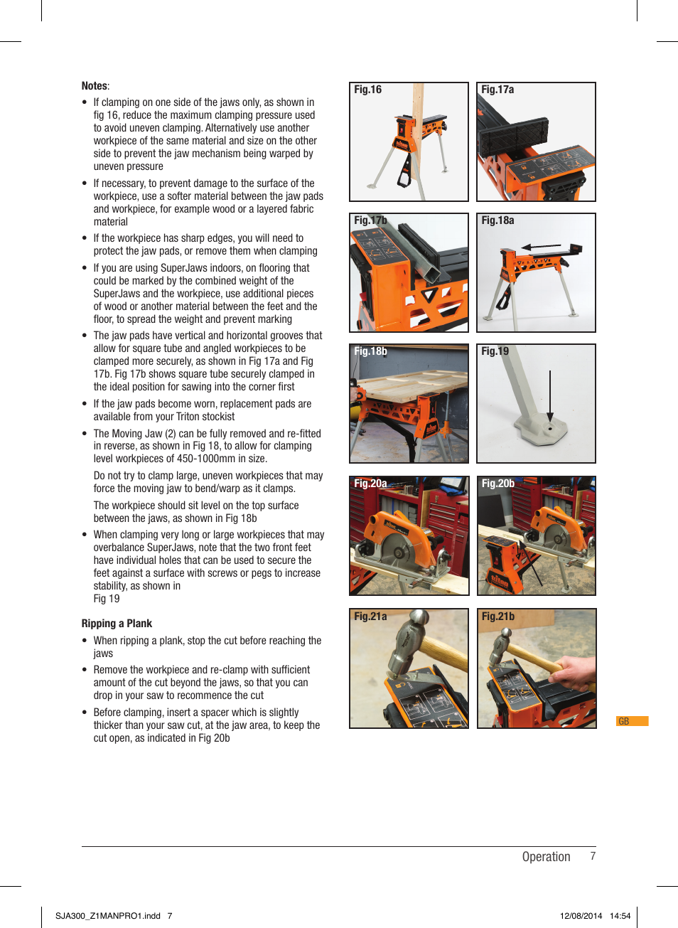 Triton SJA 300 User Manual | Page 8 / 62