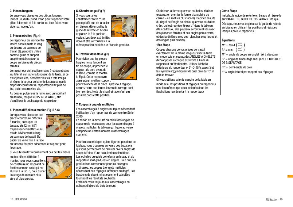 Triton BRA 200 User Manual | Page 10 / 20