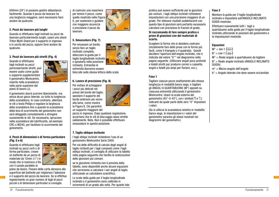 Triton BRA 200 User Manual | Page 16 / 20