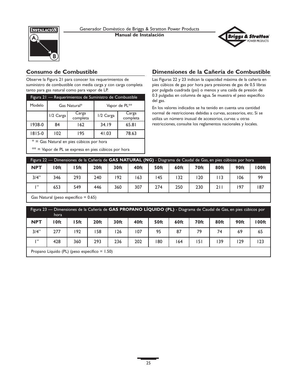 Briggs & Stratton 01938-0 User Manual | Page 25 / 48