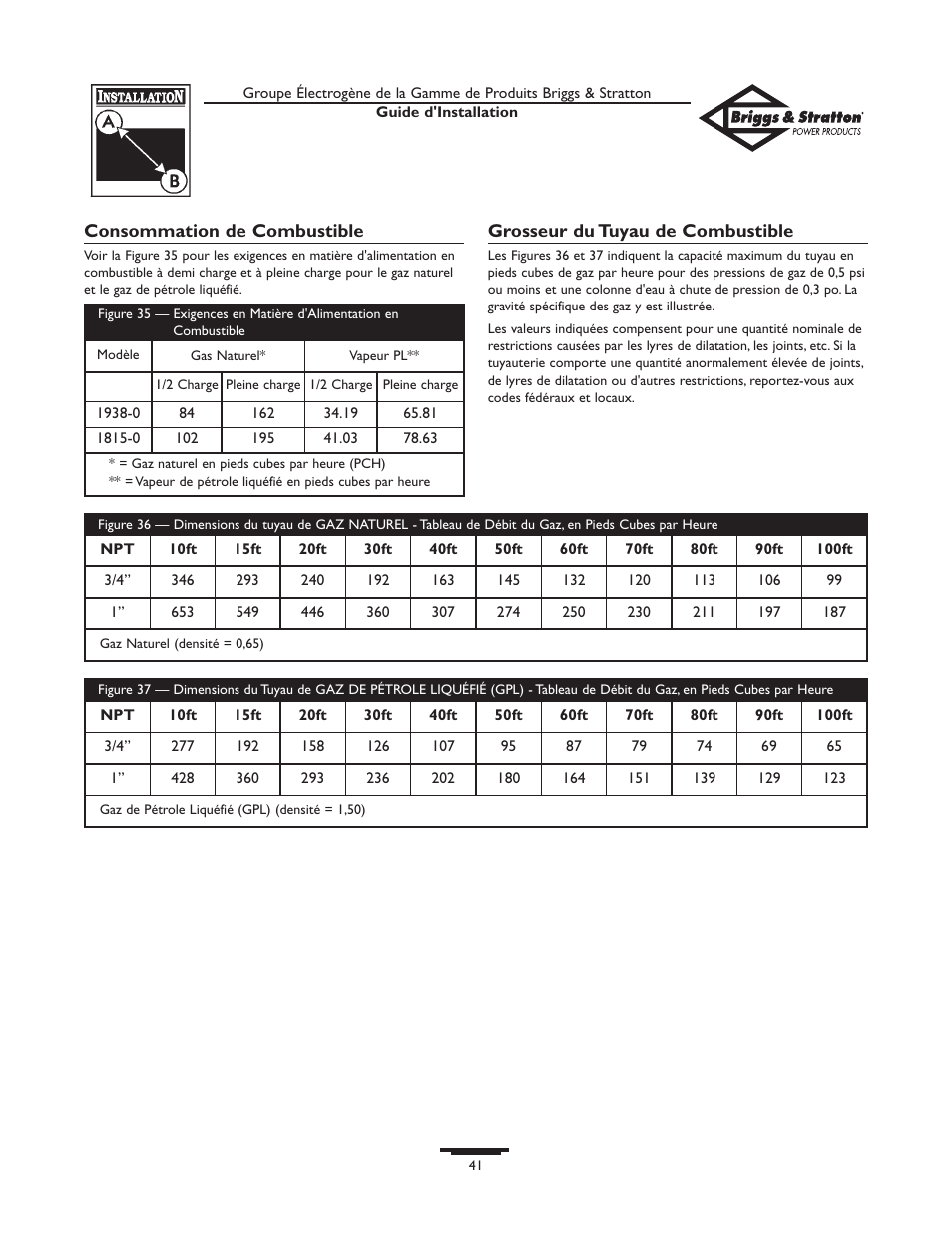 Briggs & Stratton 01938-0 User Manual | Page 41 / 48