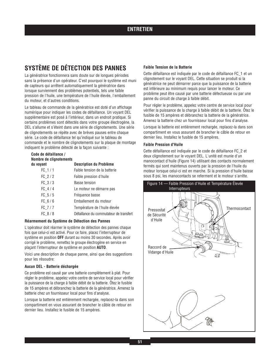 Système de détection des pannes, Entretien | Briggs & Stratton 040204  EU User Manual | Page 51 / 56