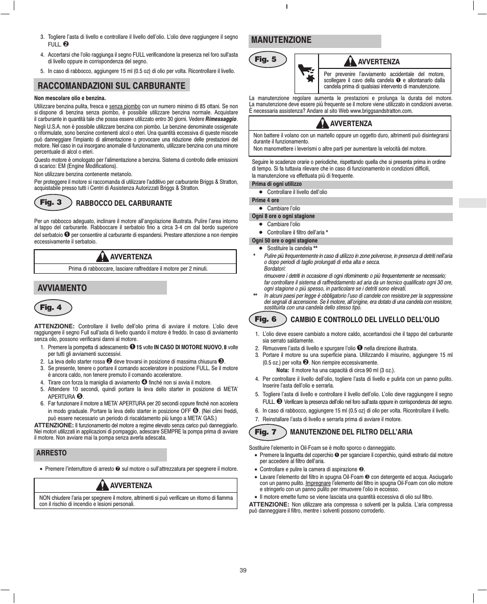 Raccomandazioni sul carburante, Avviamento, Manutenzione | Briggs & Stratton Fource 21100 User Manual | Page 41 / 76