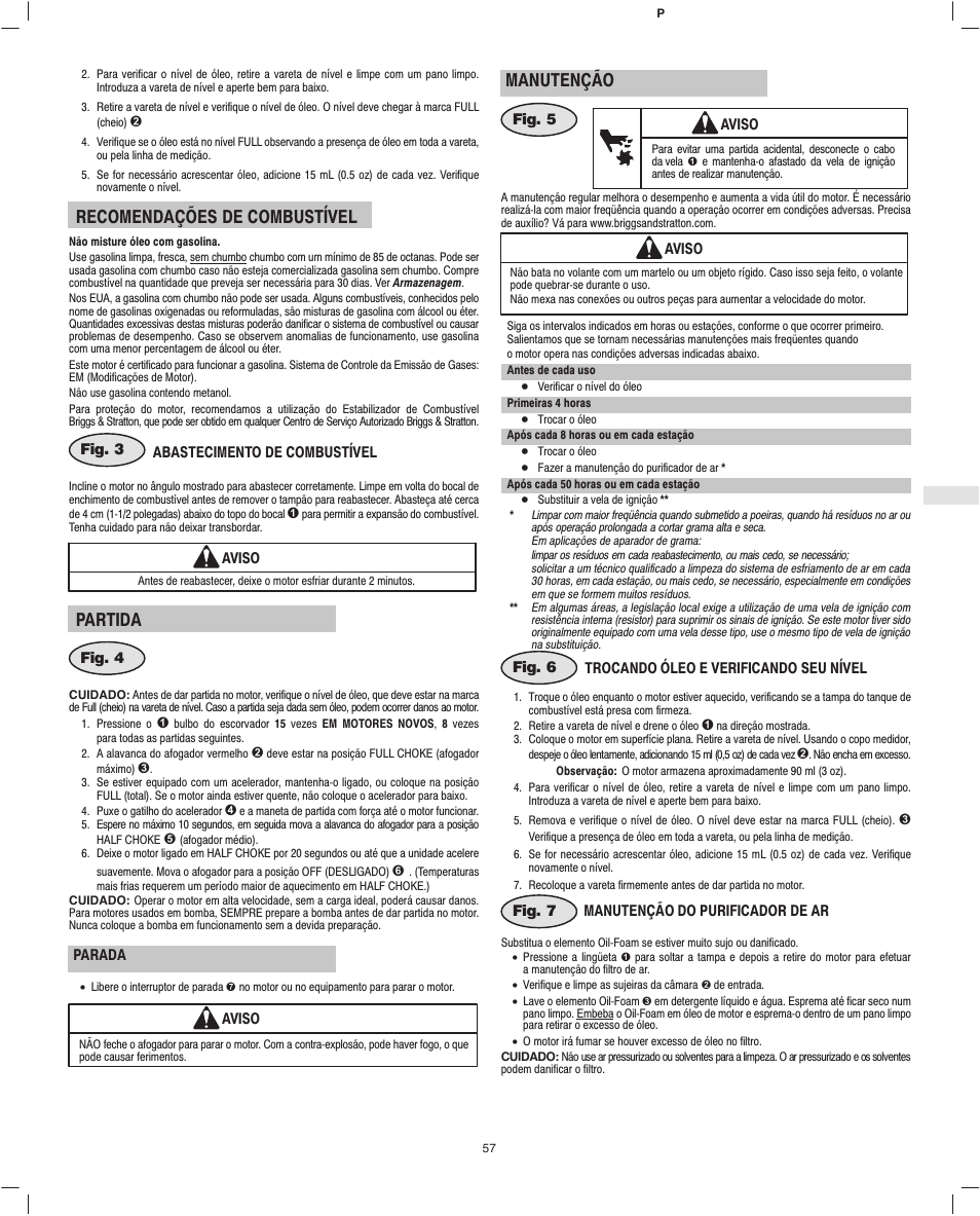 Recomendações de combustível, Partida, Manutenção | Briggs & Stratton Fource 21100 User Manual | Page 59 / 76