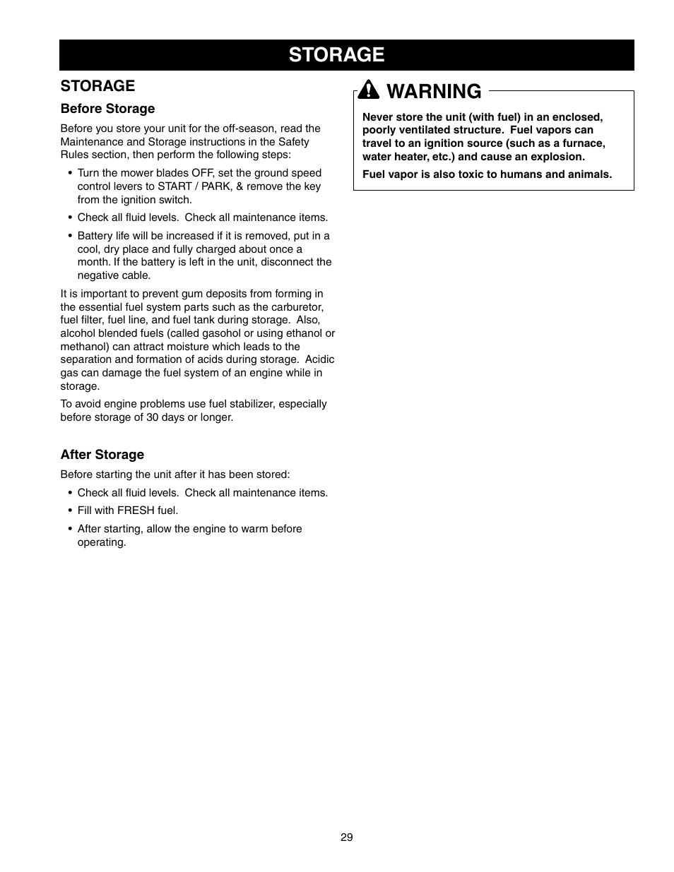 Storage warning, Storage | Briggs & Stratton 150Z Series User Manual | Page 31 / 38