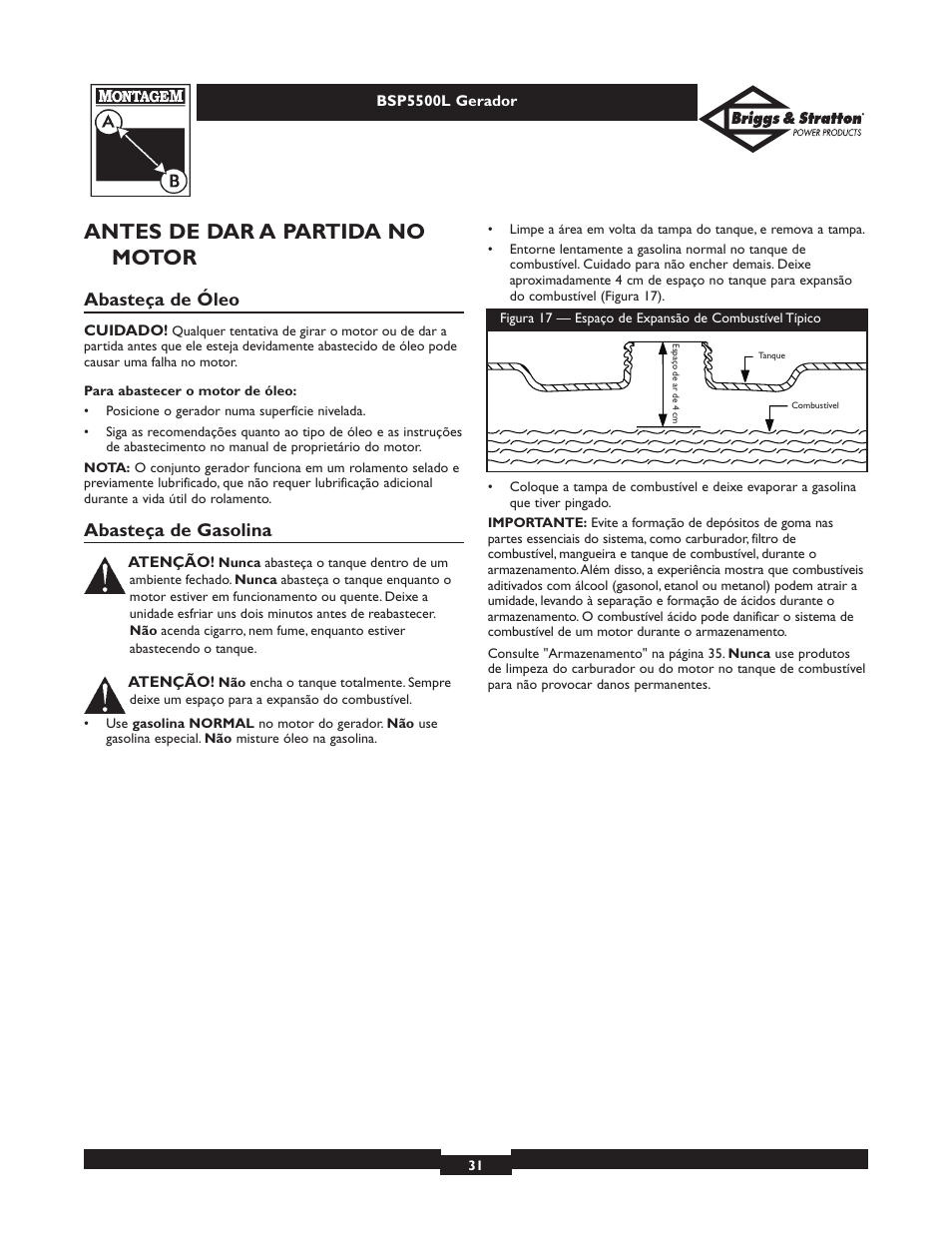 Antes de dar a partida no motor, Abasteça de óleo, Abasteça de gasolina | Briggs & Stratton AC GENERATOR bsp5500l User Manual | Page 31 / 40