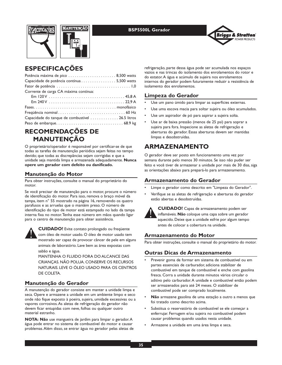 Especificações, Recomendações de manutenção, Armazenamento | Briggs & Stratton AC GENERATOR bsp5500l User Manual | Page 35 / 40