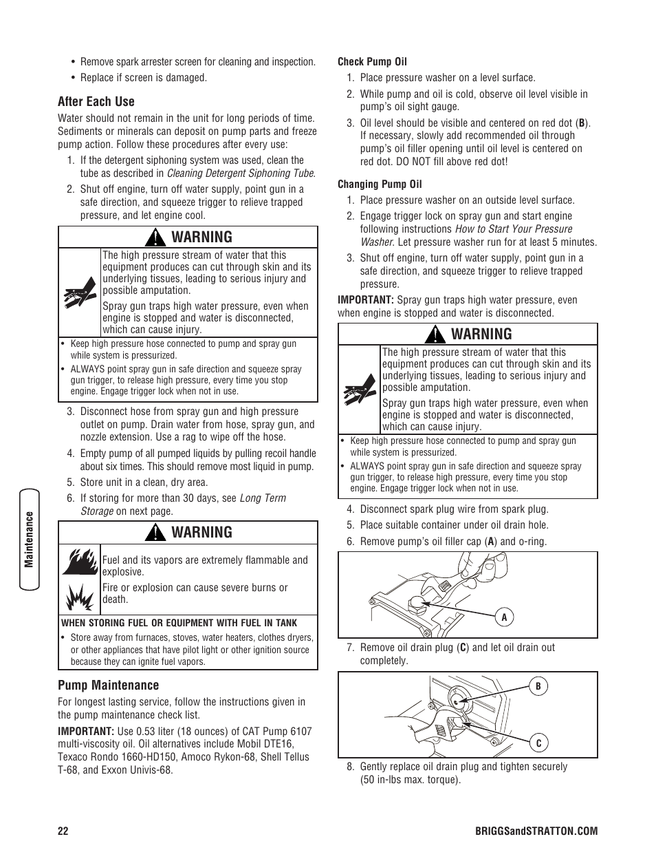 After each use pump maintenance, Warning | Briggs & Stratton 020330-0 User Manual | Page 22 / 60