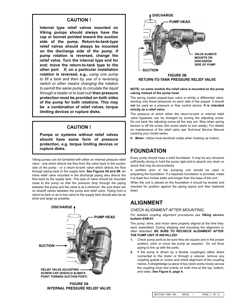 Foundation, Alignment, Caution | Viking Pump TSM000: General Information User Manual | Page 3 / 8