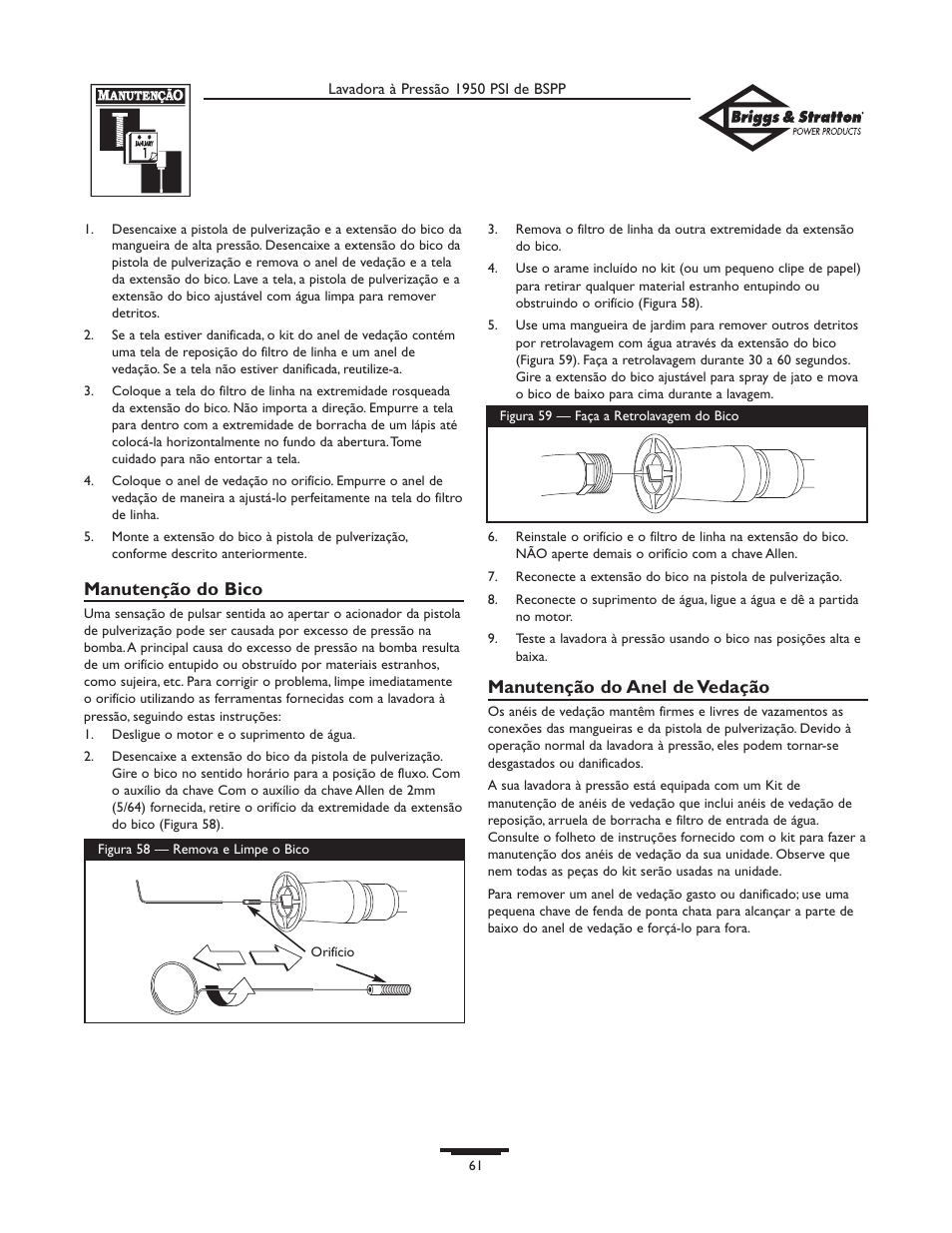 Manutenção do bico, Manutenção do anel de vedação | Briggs & Stratton 20222 User Manual | Page 61 / 80