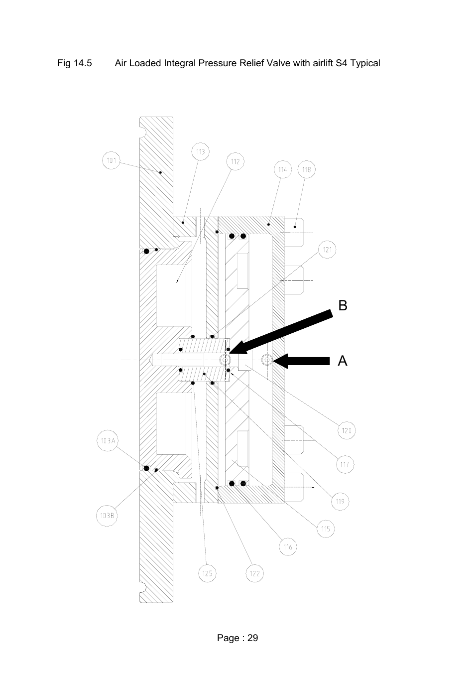 Viking Pump TSM280: Duralobe (Discontinued) User Manual | Page 31 / 78