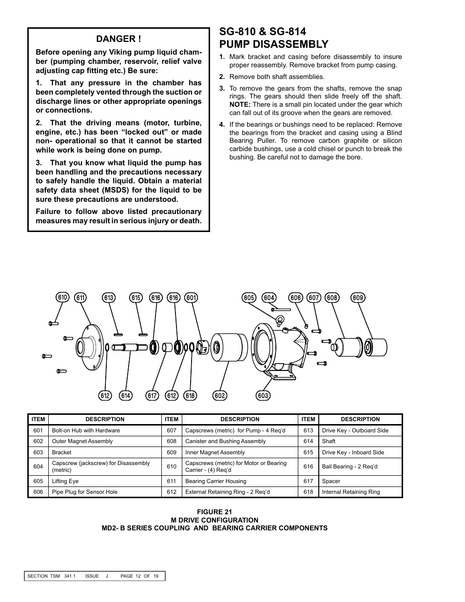 Danger | Viking Pump TSM341.1: SG Mag Drive Series User Manual | Page 12 / 19