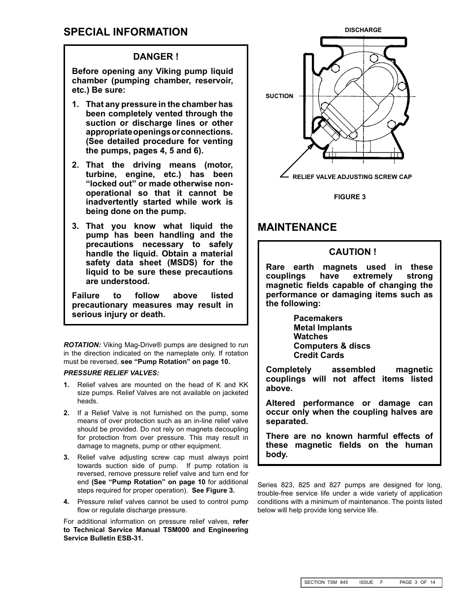 Special information, Maintenance | Viking Pump TSM845: K-KK 825, 823, 827 User Manual | Page 3 / 14