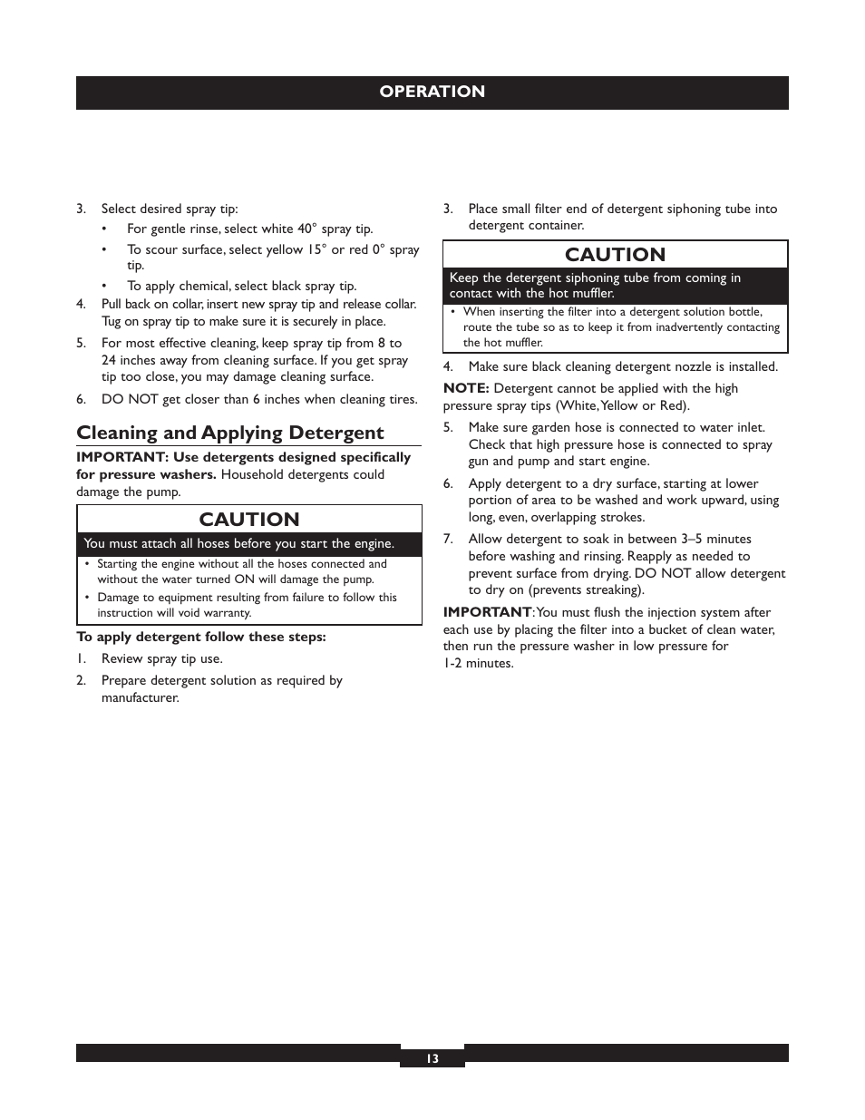 Cleaning and applying detergent, Caution | Briggs & Stratton 20224 User Manual | Page 13 / 92