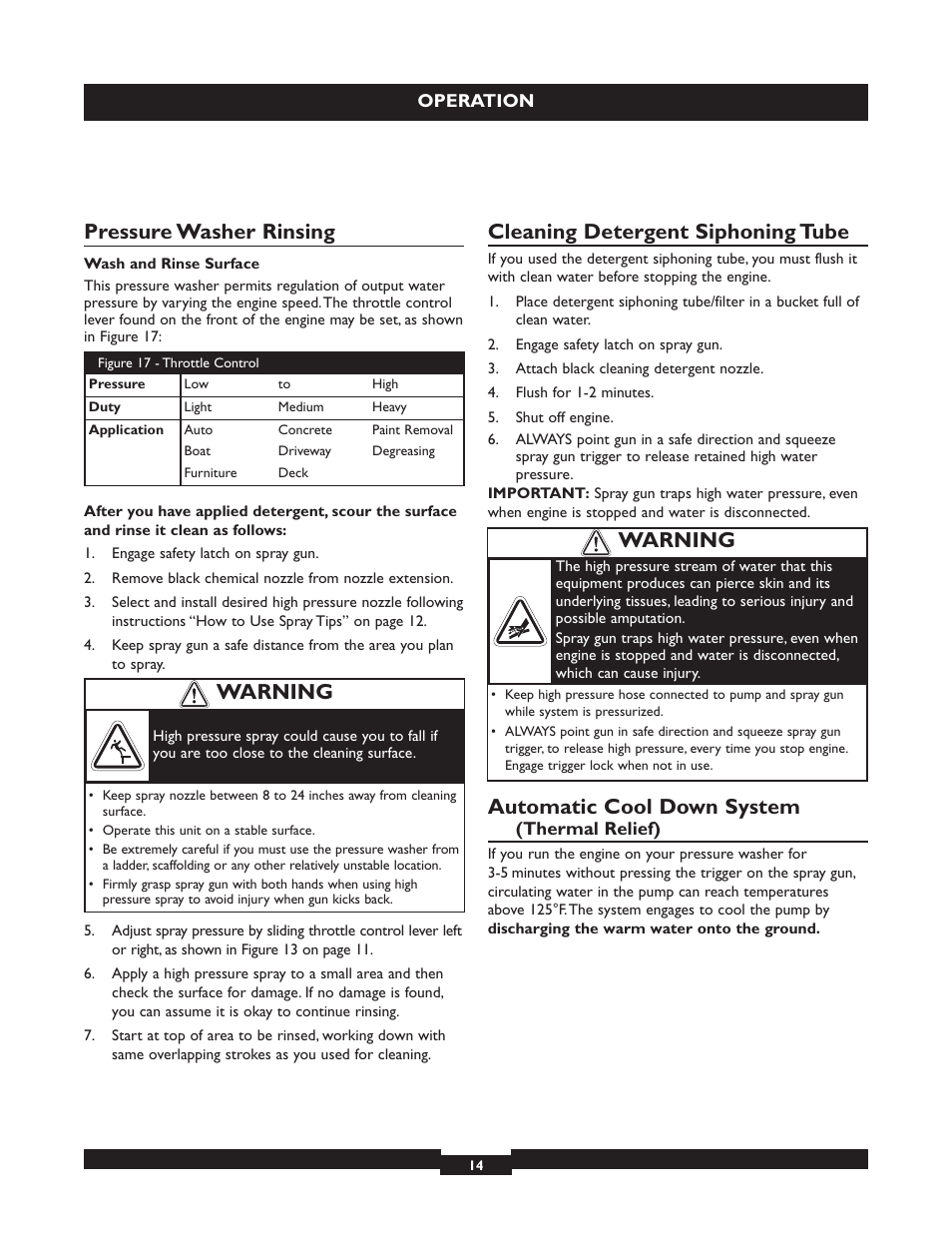 Pressure washer rinsing, Cleaning detergent siphoning tube, Automatic cool down system | Warning | Briggs & Stratton 20224 User Manual | Page 14 / 92