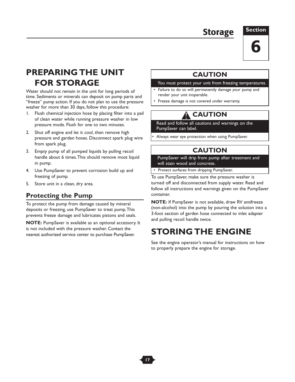 Preparing the unit for storage, Storing the engine, Storage | Briggs & Stratton 20270 User Manual | Page 17 / 36