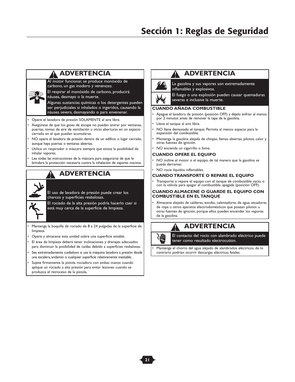 Sección 1: reglas de seguridad, Advertencia | Briggs & Stratton 20270 User Manual | Page 21 / 36