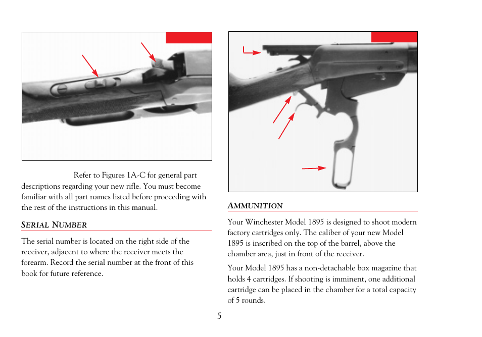 Serial number, Ammunition | Winchester Repeating Arms 1895 User Manual | Page 7 / 32