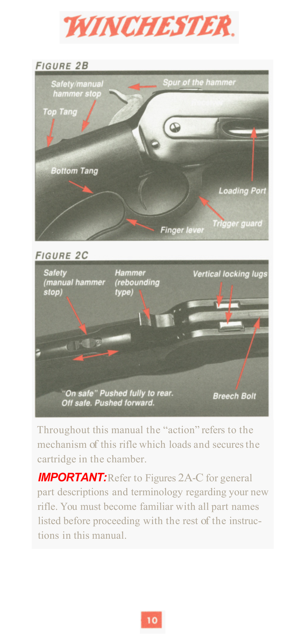 Winchester Repeating Arms 1886 (Historic Manual) User Manual | Page 12 / 43