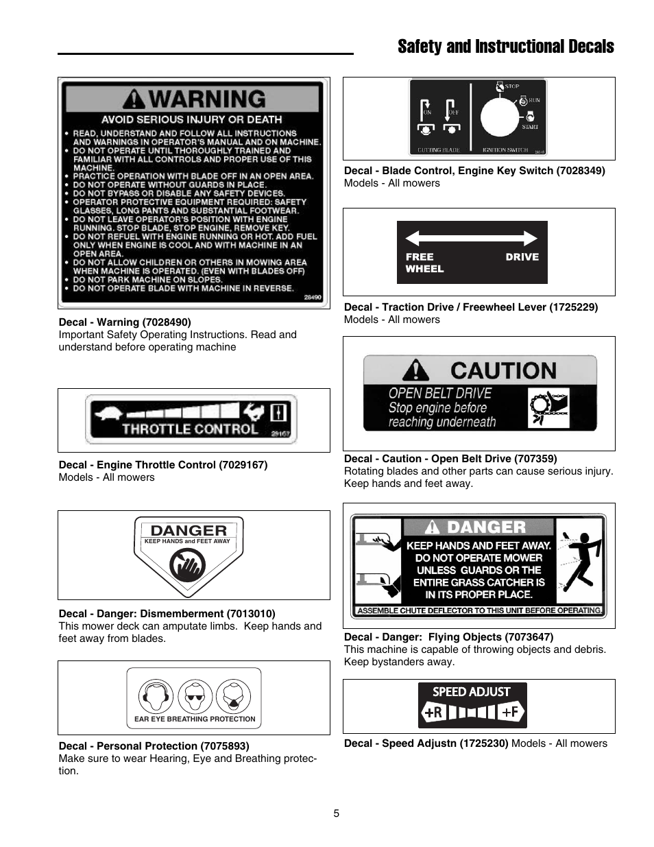 Safety and instructional decals, Danger | Briggs & Stratton FB13250BS User Manual | Page 6 / 24