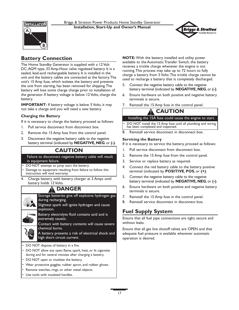 Battery connection, Fuel supply system, Caution | Danger caution | Briggs & Stratton 01975-0 User Manual | Page 17 / 80