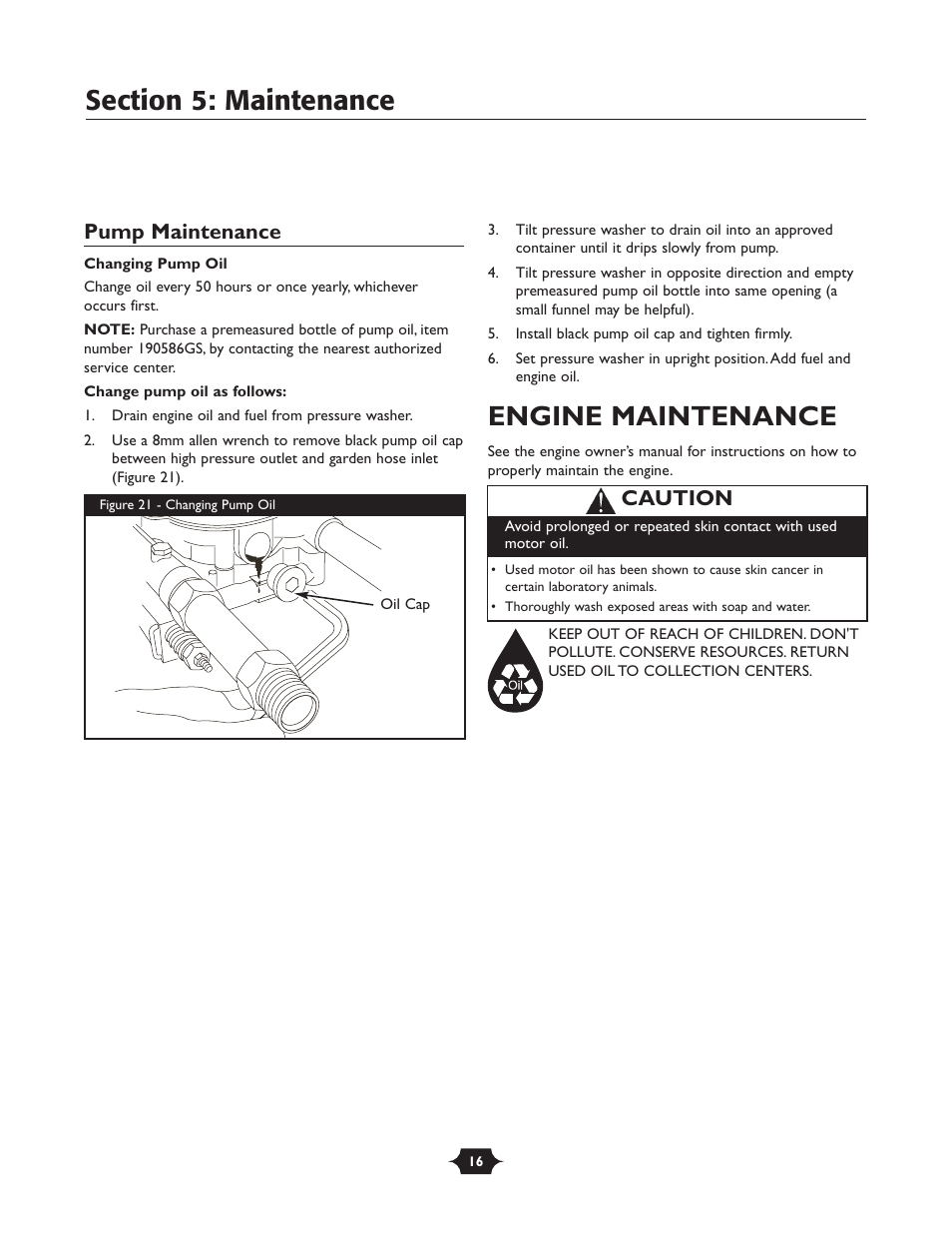 Engine maintenance, Pump maintenance, Caution | Briggs & Stratton 20228 User Manual | Page 16 / 36