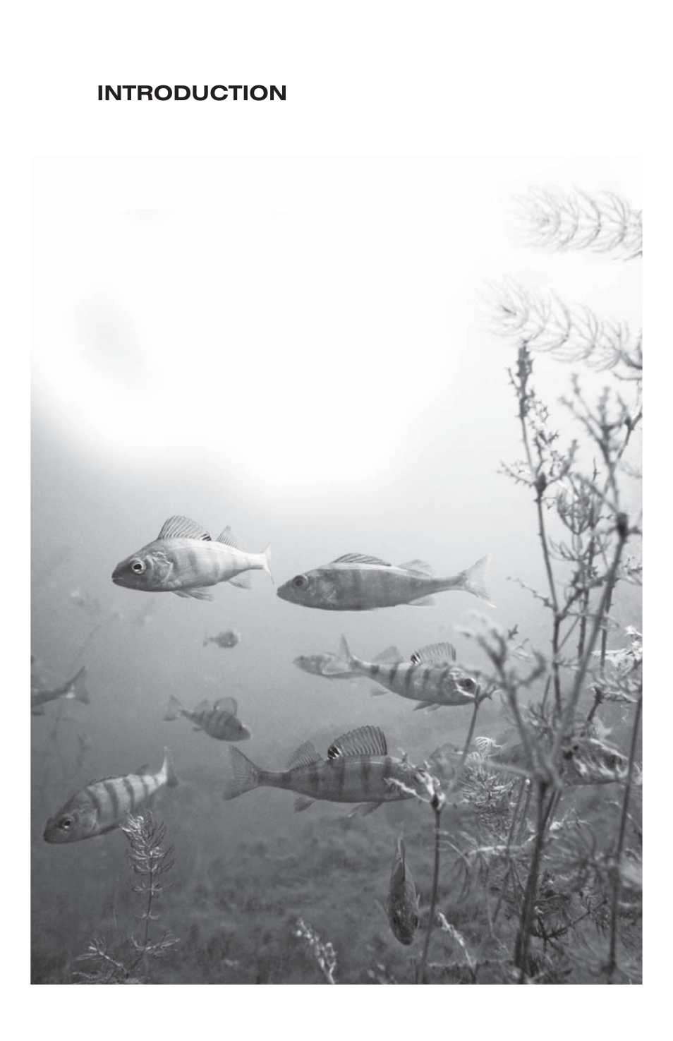 Introduction | LaMotte Dissolved Oxygen Water Quality Test Kit User Manual | Page 3 / 20