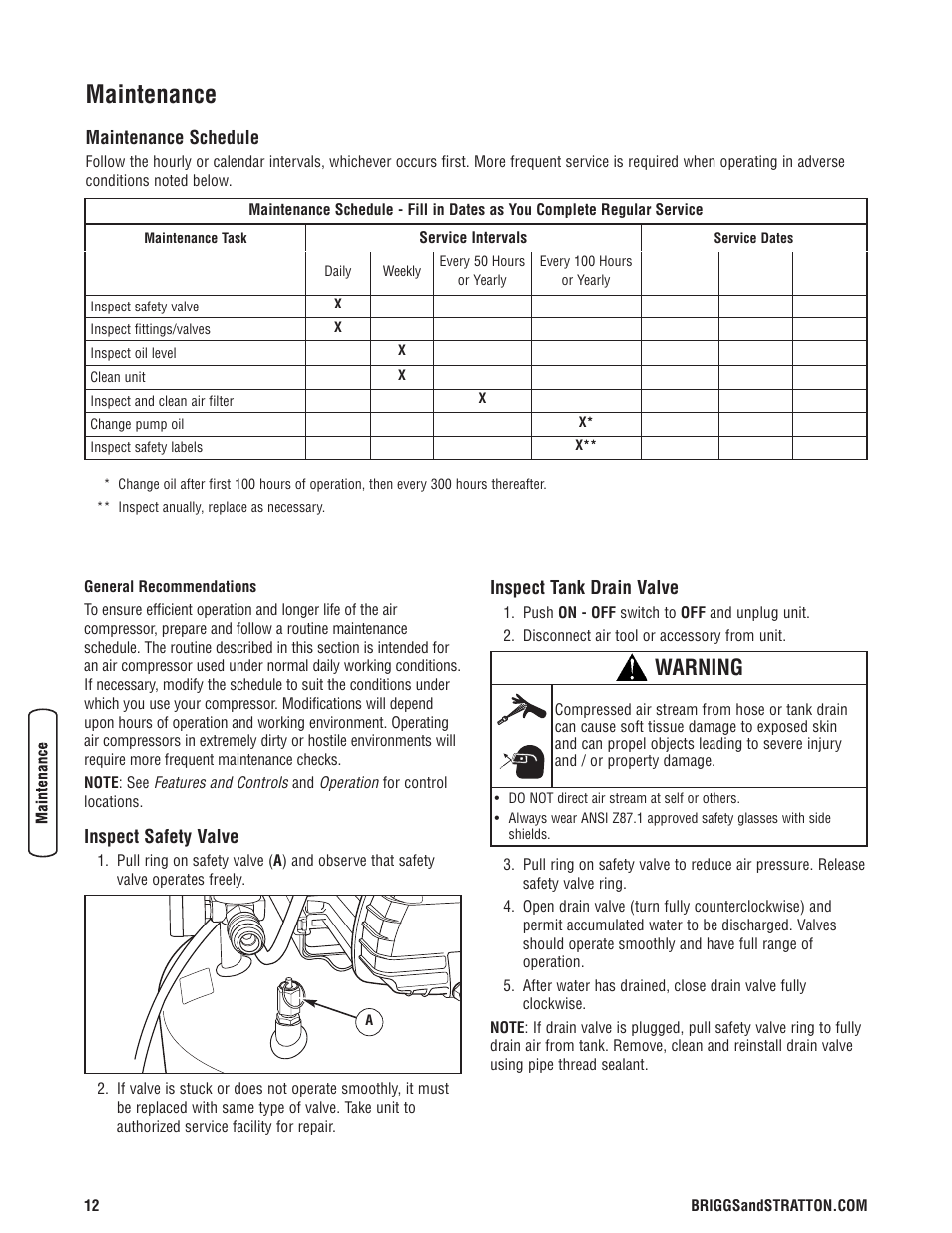 Maintenance, Warning | Briggs & Stratton Proseries User Manual | Page 12 / 60