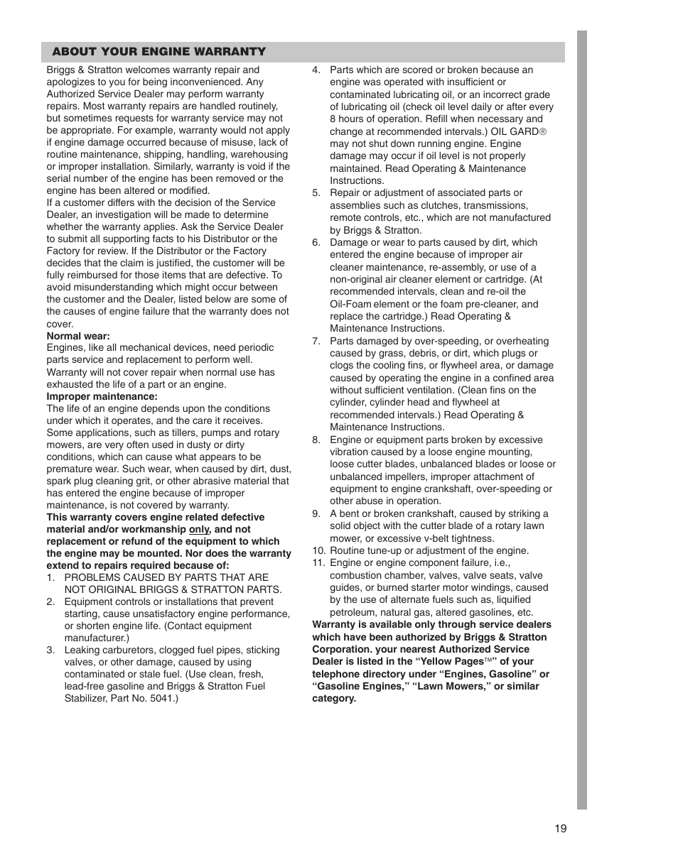 Briggs & Stratton 290000 User Manual | Page 19 / 20