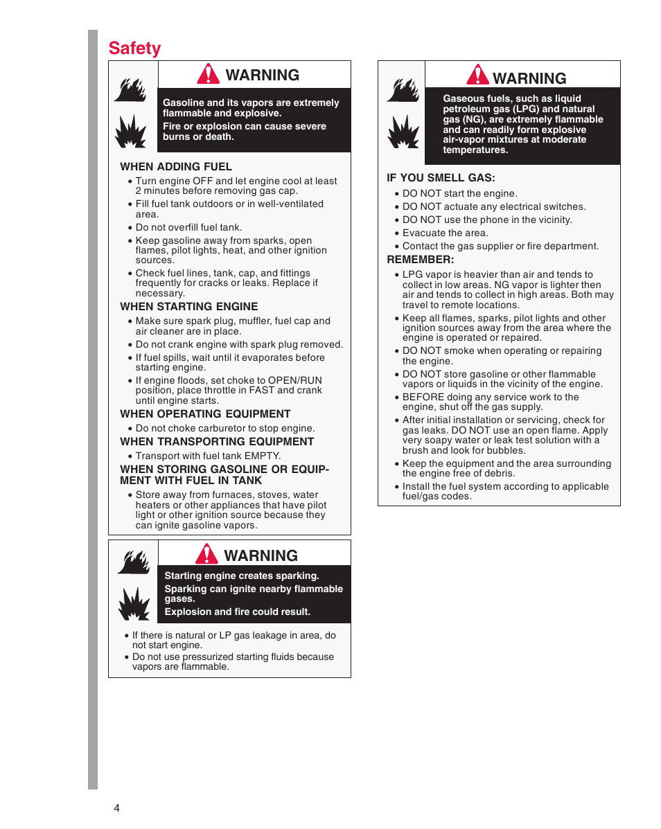 Safety, Warning | Briggs & Stratton 290000 User Manual | Page 4 / 20