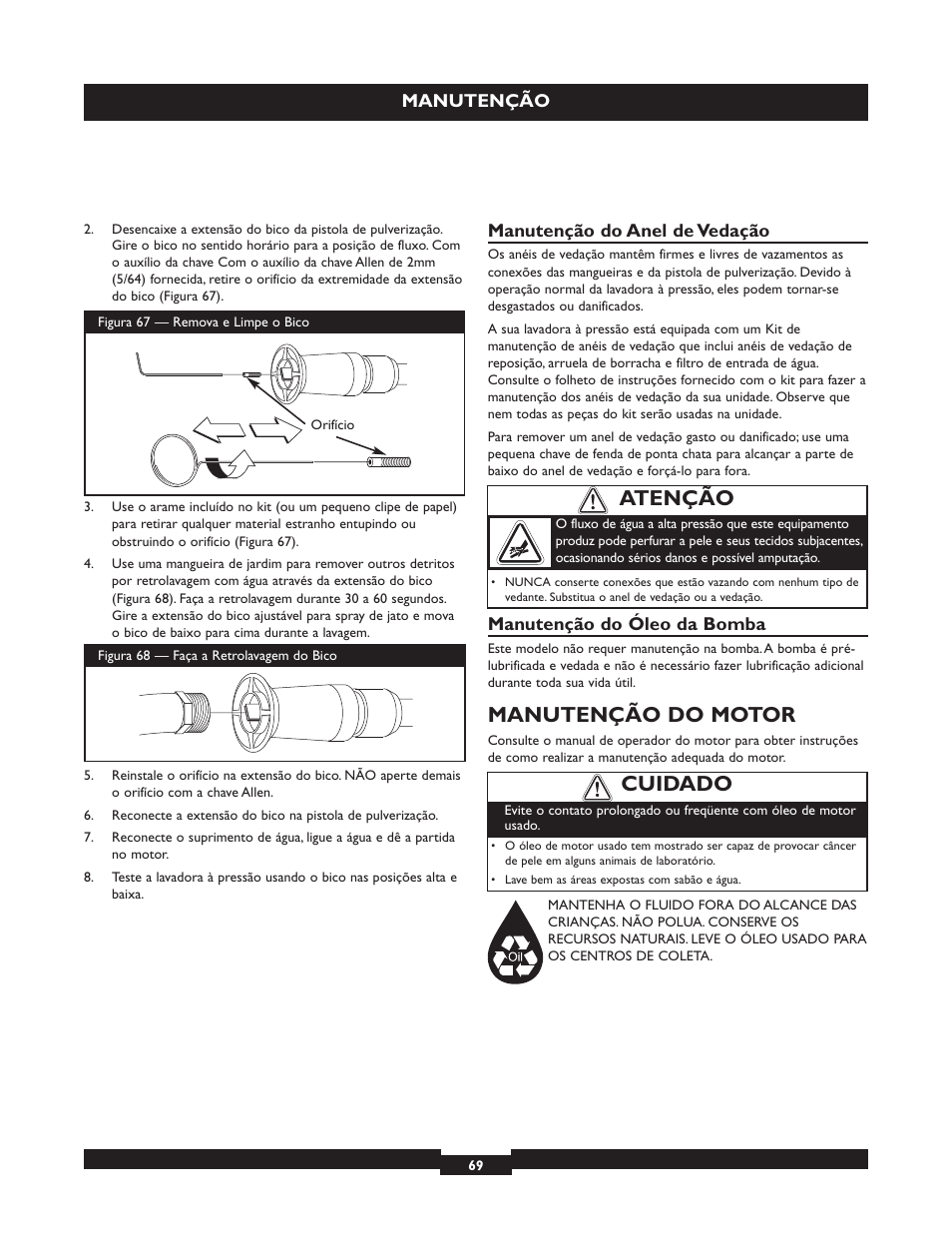 Manutenção do motor, Cuidado, Atenção | Briggs & Stratton 20223 User Manual | Page 69 / 92
