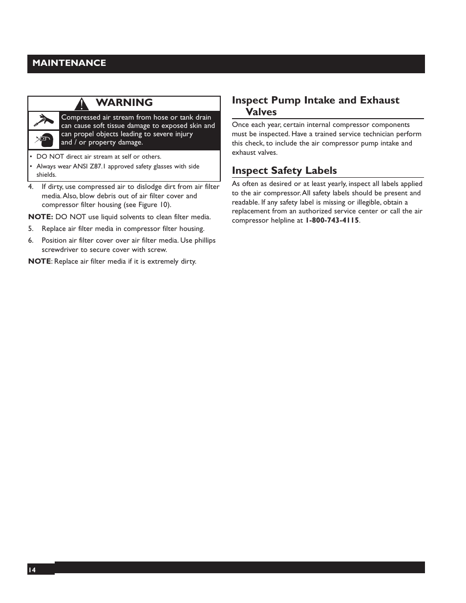 Inspect pump intake and exhaust valves, Inspect safety labels, Warning | Briggs & Stratton 074000 User Manual | Page 14 / 56