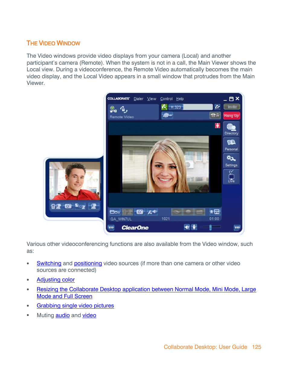 The video window, The video windows | ClearOne Collaborate Desktop User Guide User Manual | Page 125 / 153