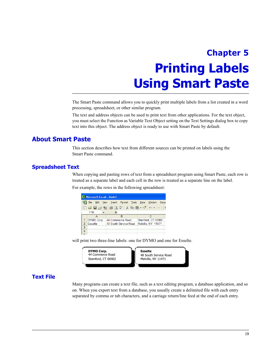 Printing labels using smart paste, About smart paste, Spreadsheet text | Text file, Chapter 5 | Dymo LabelWriter EL60 User Manual | Page 23 / 38