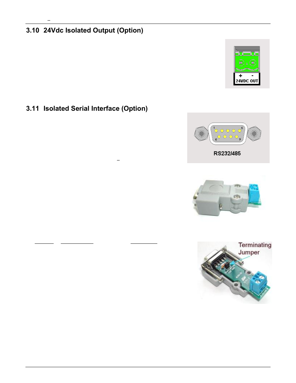 10 24vdc isolated output (option), 11 isolated serial interface (option), 24vdc isolated output (option) | Isolated serial interface (option) | Monarch Instrument DC6000 User Manual | Page 32 / 121