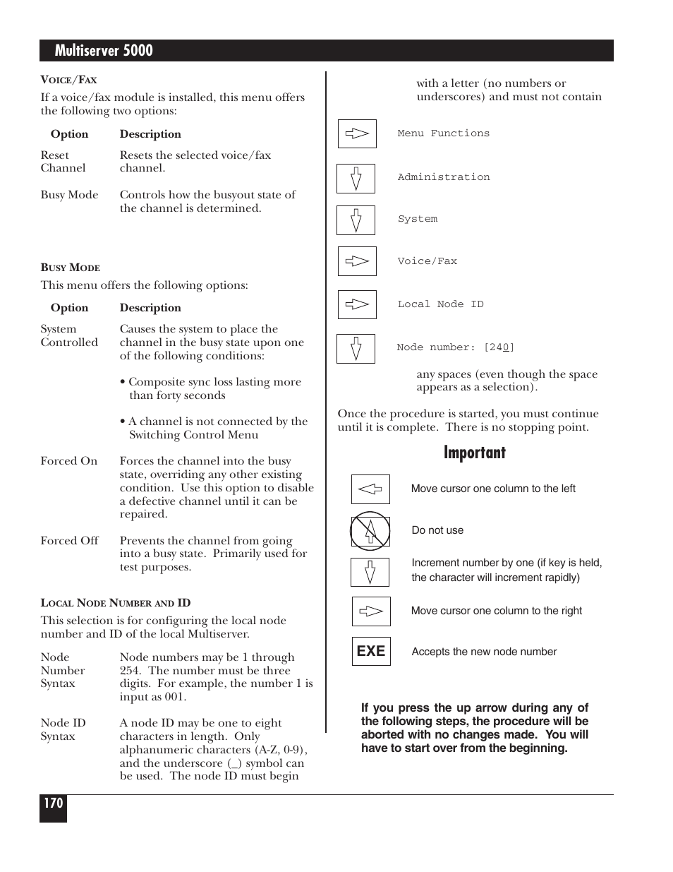 Important, Multiserver 5000 | Black Box 5000 User Manual | Page 172 / 268