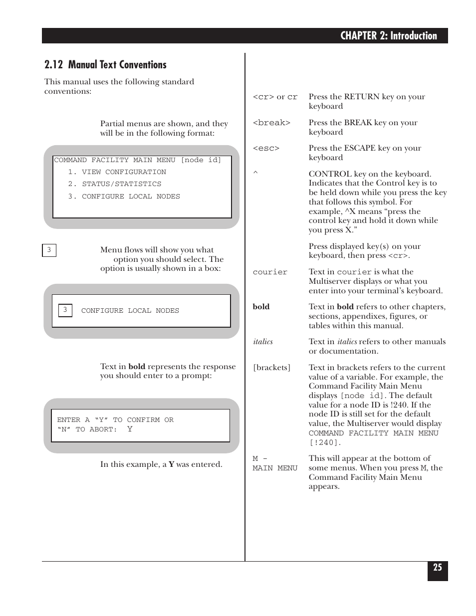 Chapter 2: introduction, 12 manual text conventions | Black Box 5000 User Manual | Page 26 / 268