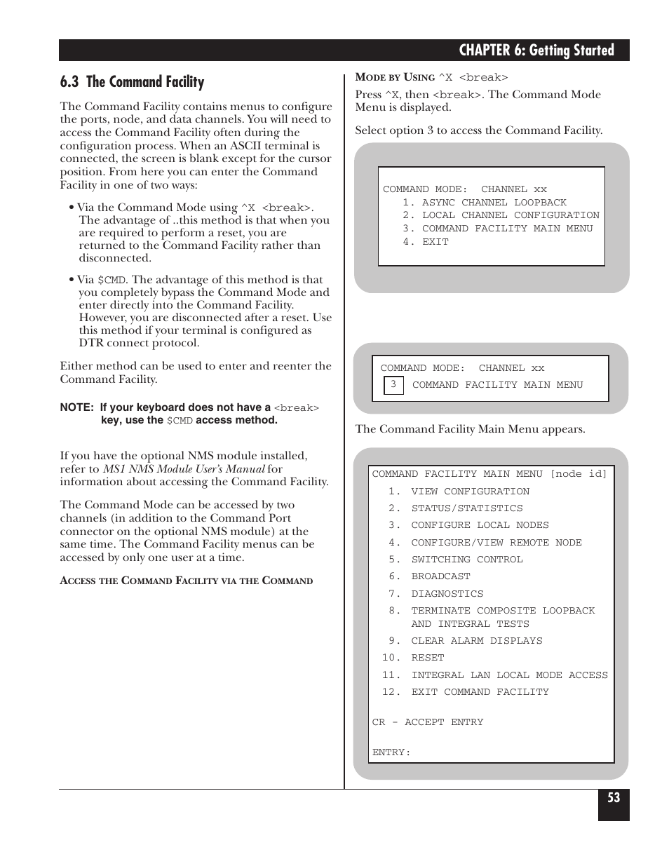 Chapter 6: getting started, 3 the command facility | Black Box 5000 User Manual | Page 55 / 268