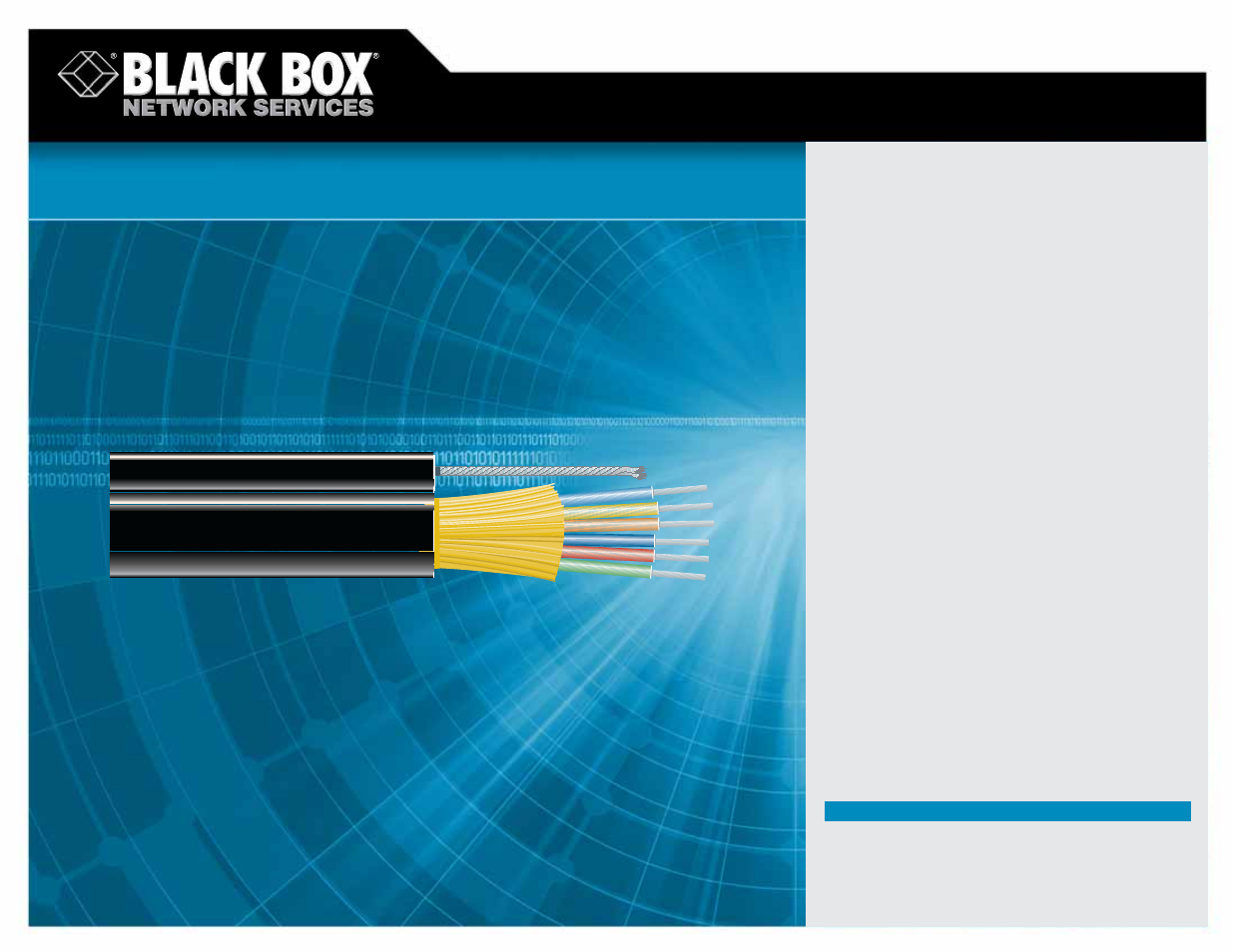 Black Box EXN37216 User Manual | 1 page