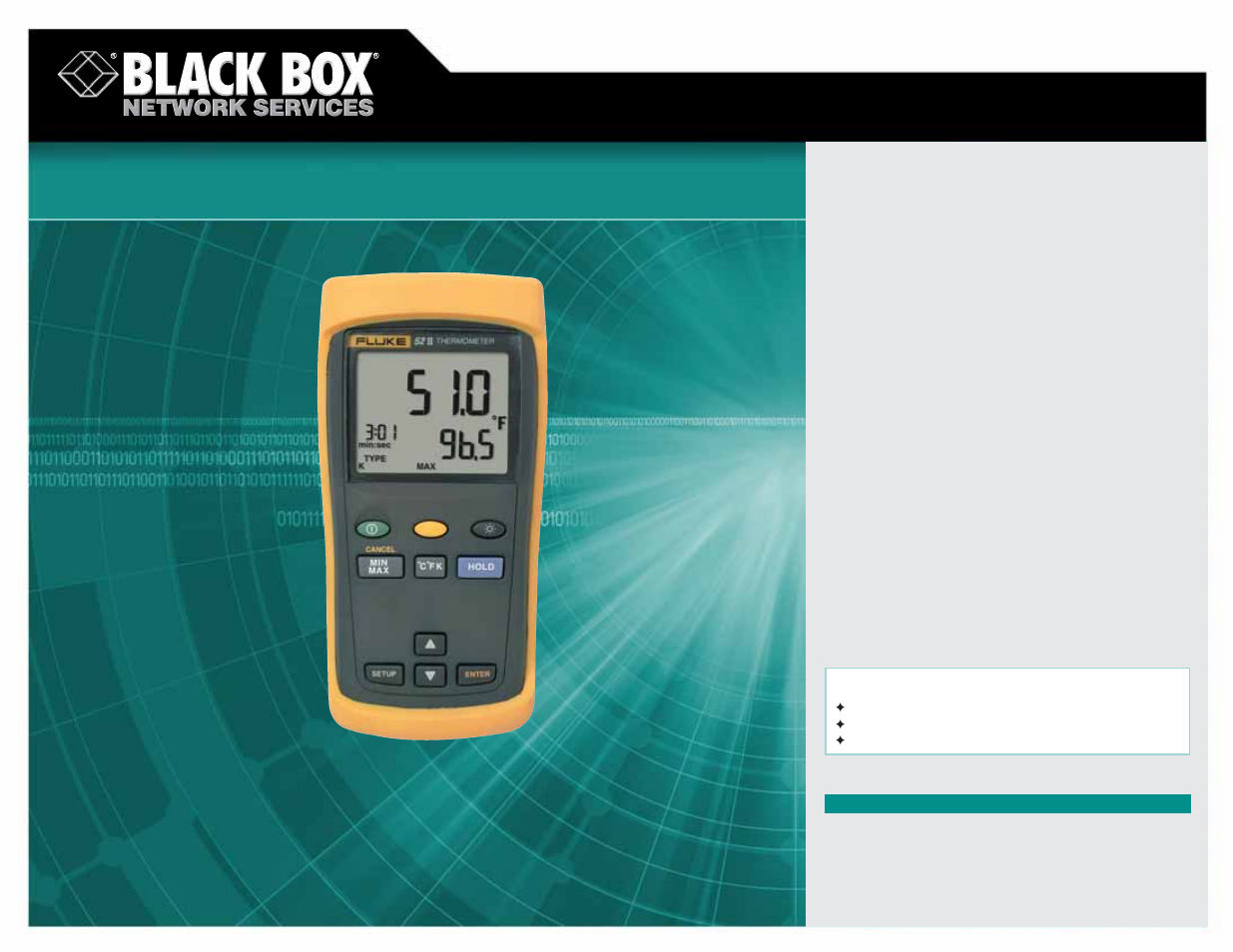 Black Box Dual-Input Thermometer User Manual | 1 page