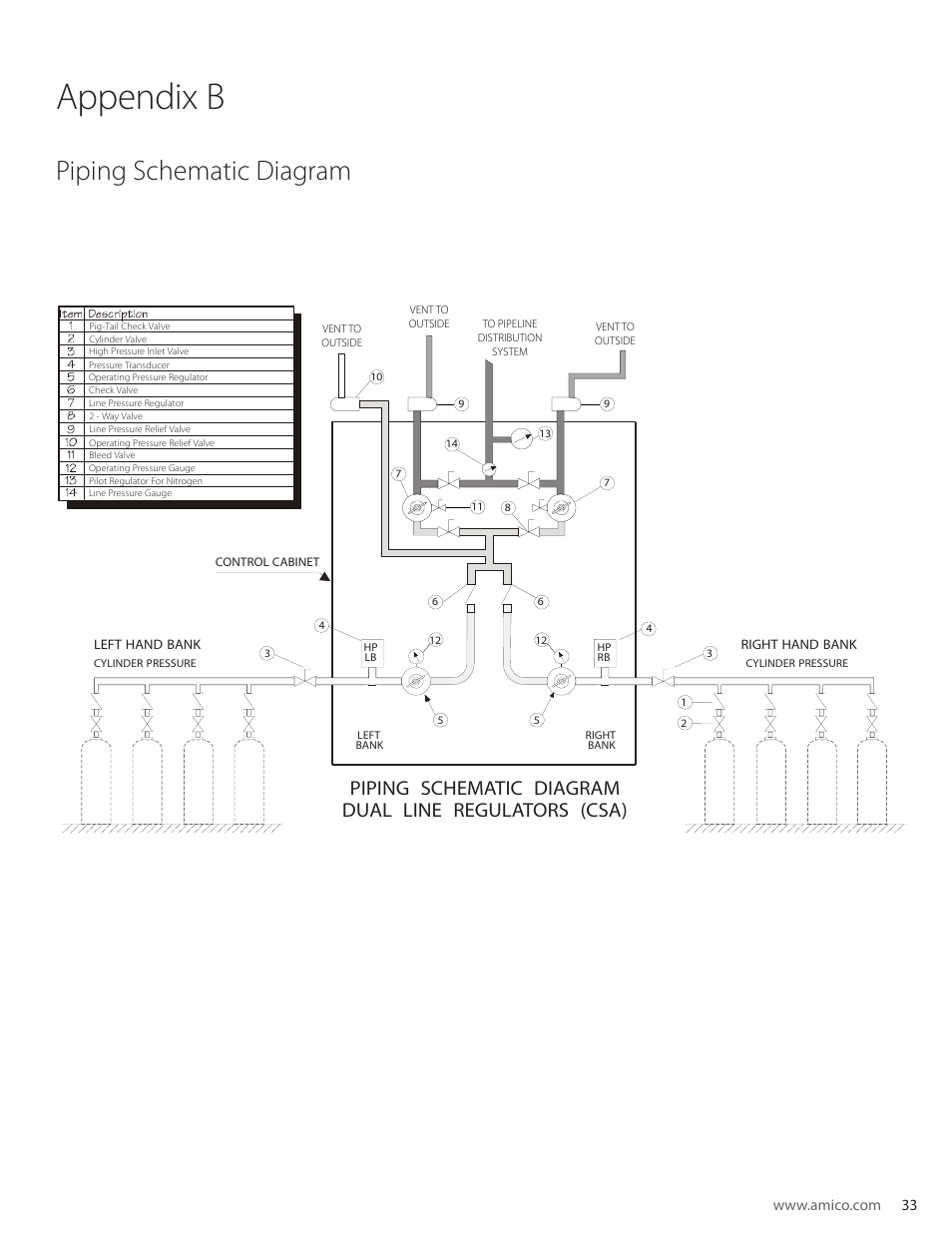 Appendix b, Piping schematic diagram | Amico Dome Loaded Manifold CSA User Manual | Page 33 / 44