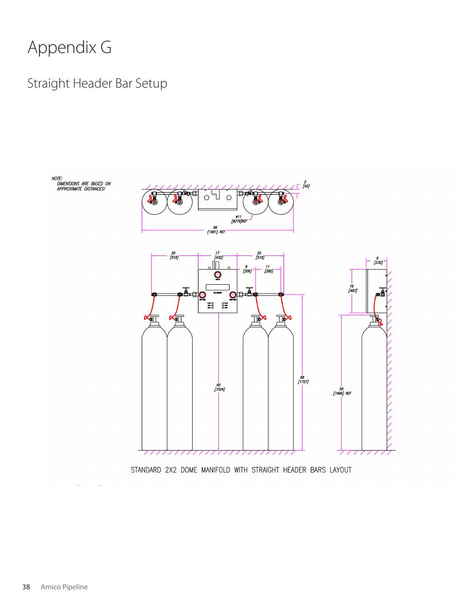 Appendix g, Straight header bar setup | Amico Dome Loaded Manifold CSA User Manual | Page 38 / 44