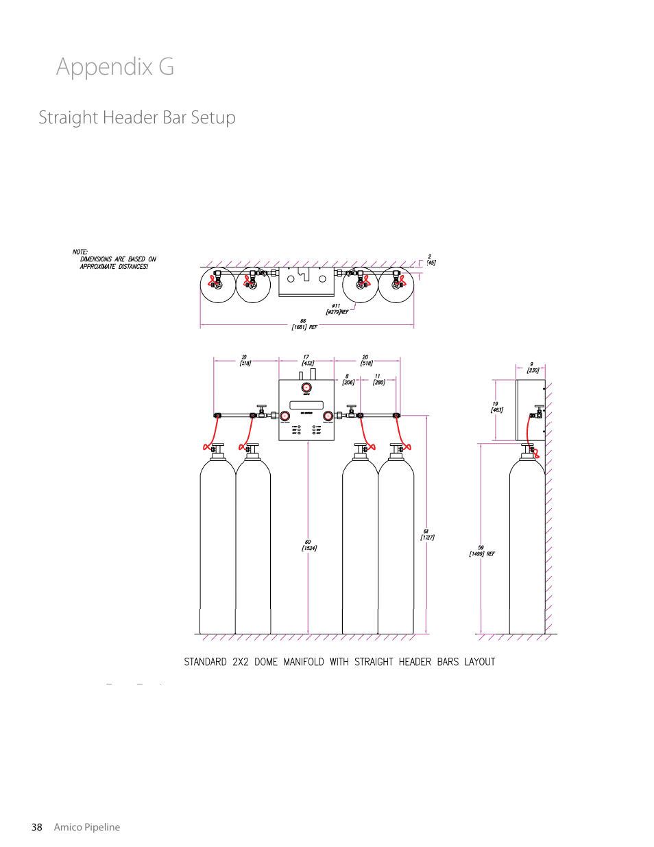 Appendix g, Straight header bar setup | Amico Dome Loaded Manifold Nema-4 NFPA User Manual | Page 38 / 44