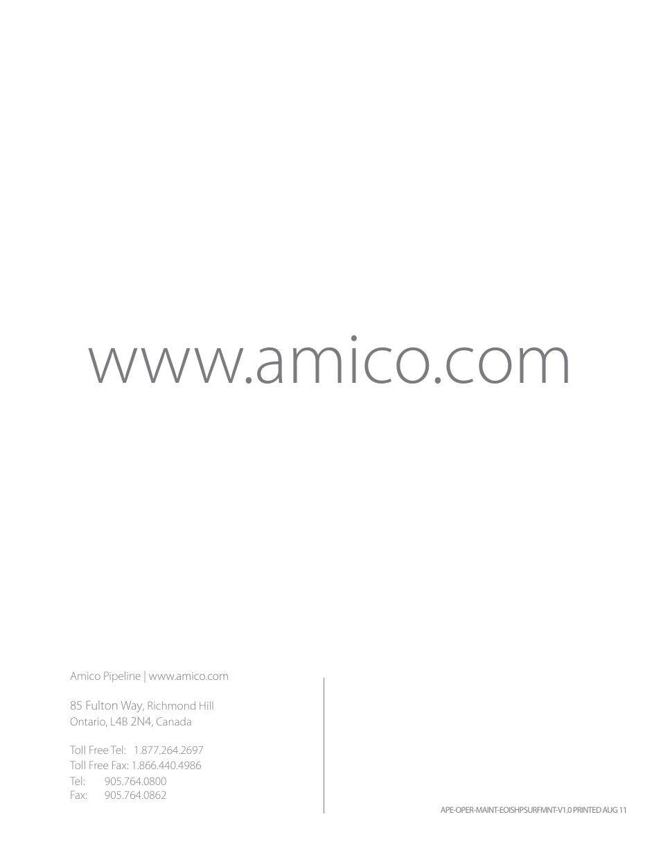 Amico Surface Mount Emergency Oxygen Inlet Station (High Pressure) User Manual | Page 6 / 6