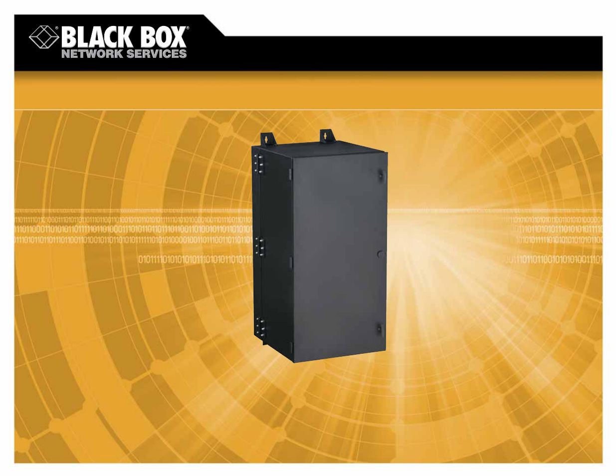 Black Box NEMA 12 User Manual | 2 pages