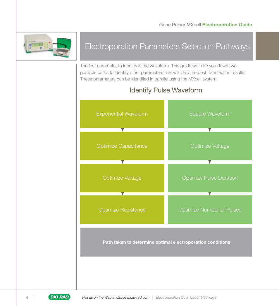 Electroporation parameters selection pathways, Identify pulse waveform | Bio-Rad Gene Pulser MXcell™ Electroporation System User Manual | Page 4 / 19