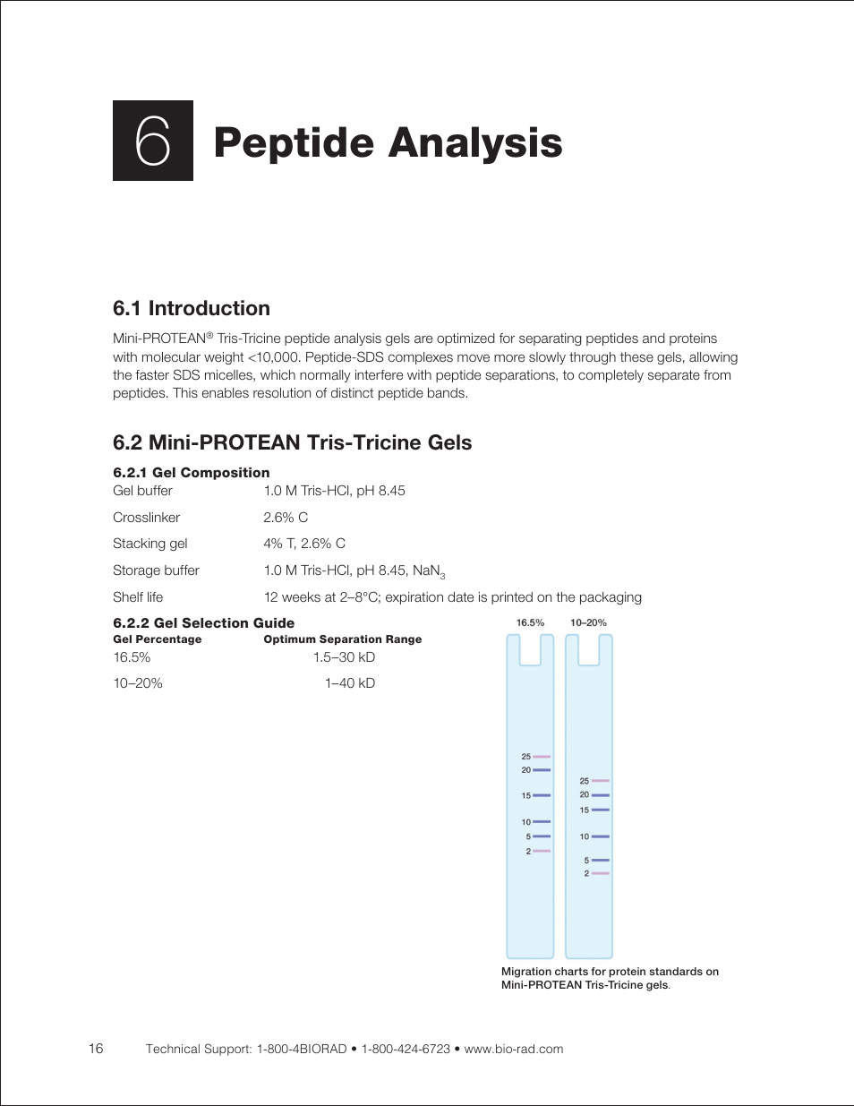 Chapter 6: peptide analysis, 1 introduction, 2 mini-protean tris-tricine gels | 1 gel composition, 2 gel selection guide, Peptide analysis | Bio-Rad Mini-PROTEAN® TGX™ Precast Gels for 2-D Electrophoresis User Manual | Page 22 / 52