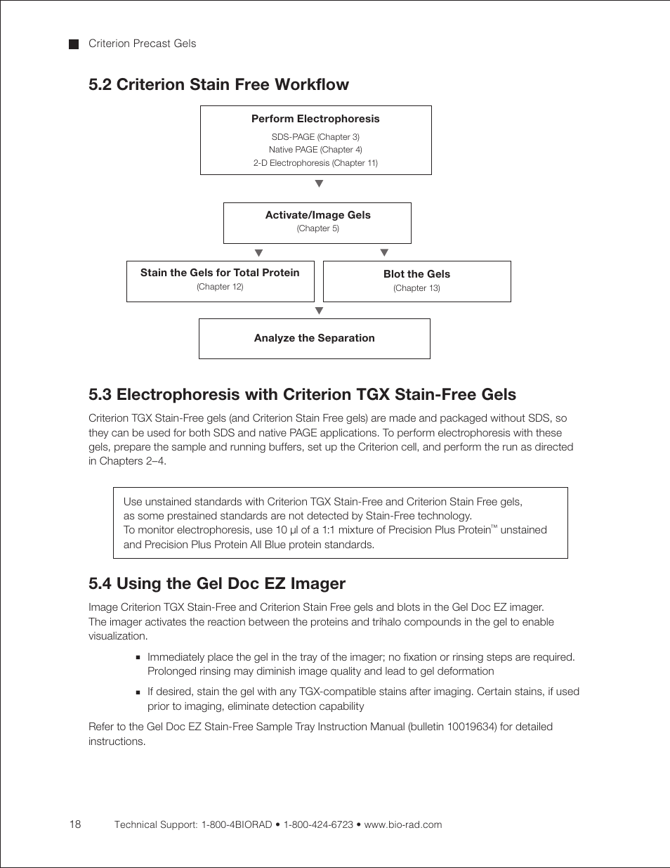 2 criterion stain free workflow, 4 using the gel doc ez imager, 4 using the gel doc | Ez imager | Bio-Rad Criterion™ TBE-Urea Precast Gels User Manual | Page 24 / 60